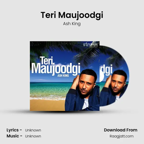 Teri Maujoodgi - Ash King album cover 