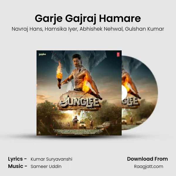 Garje Gajraj Hamare - Navraj Hans album cover 