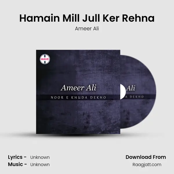 Hamain Mill Jull Ker Rehna mp3 song