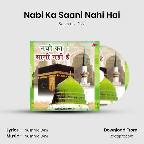 Nabi Ka Saani Nahi Hai mp3 song