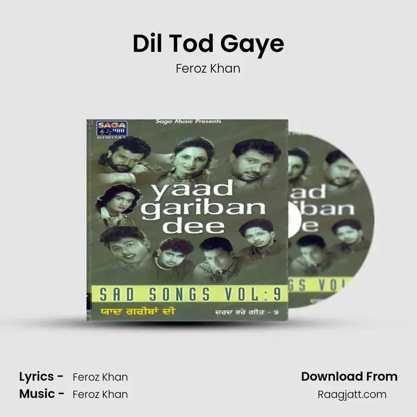 Dil Tod Gaye - Feroz Khan mp3 song