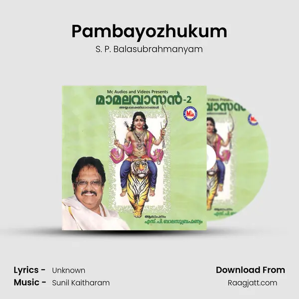 Pambayozhukum - S. P. Balasubrahmanyam album cover 