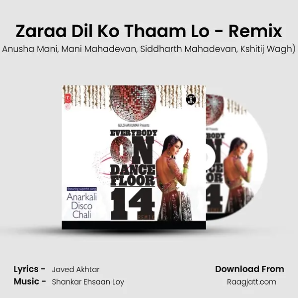 Zaraa Dil Ko Thaam Lo - Remix mp3 song