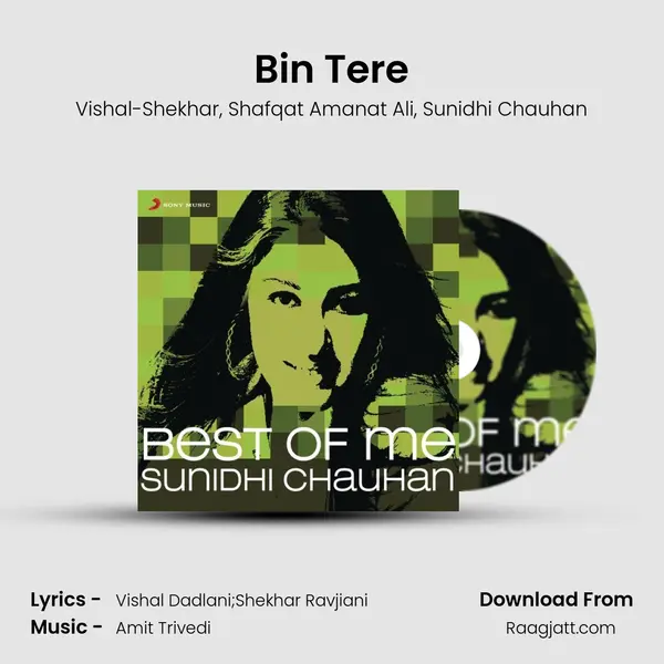 Bin Tere mp3 song