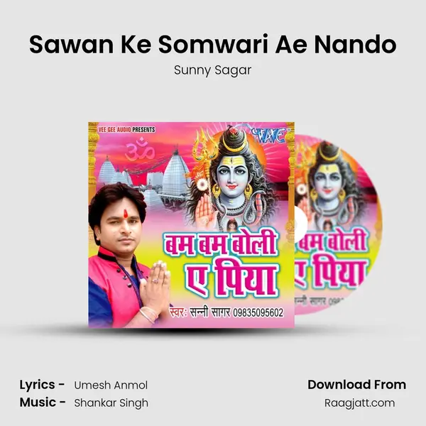 Sawan Ke Somwari Ae Nando - Sunny Sagar album cover 