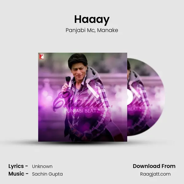 Haaay - Panjabi Mc album cover 