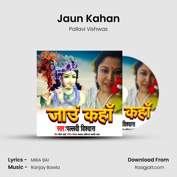 Jaun Kahan - Pallavi Vishwas album cover 