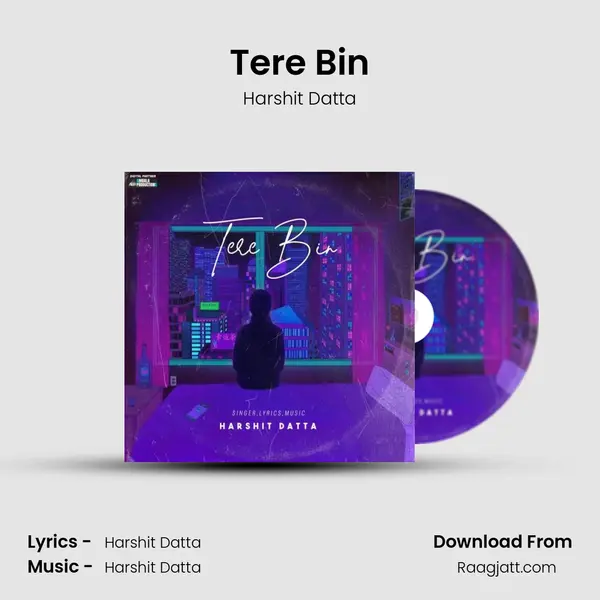 Tere Bin - Harshit Datta album cover 