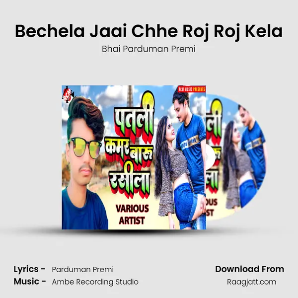 Bechela Jaai Chhe Roj Roj Kela mp3 song