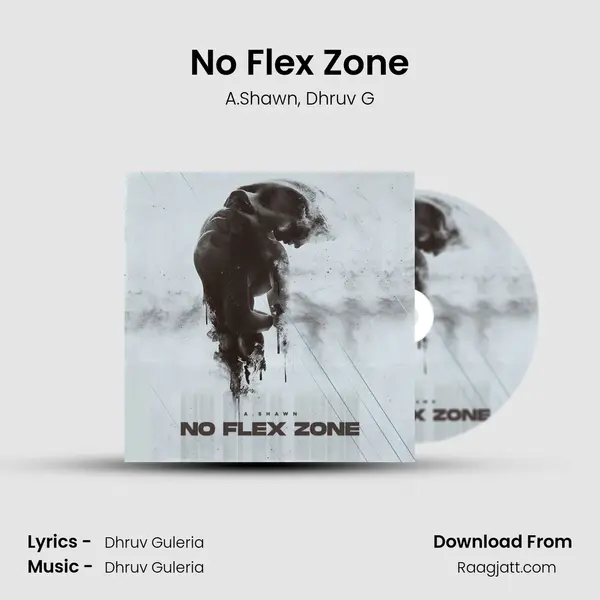 No Flex Zone - A.Shawn album cover 