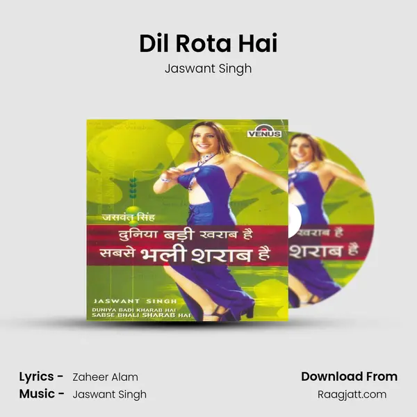 Dil Rota Hai mp3 song