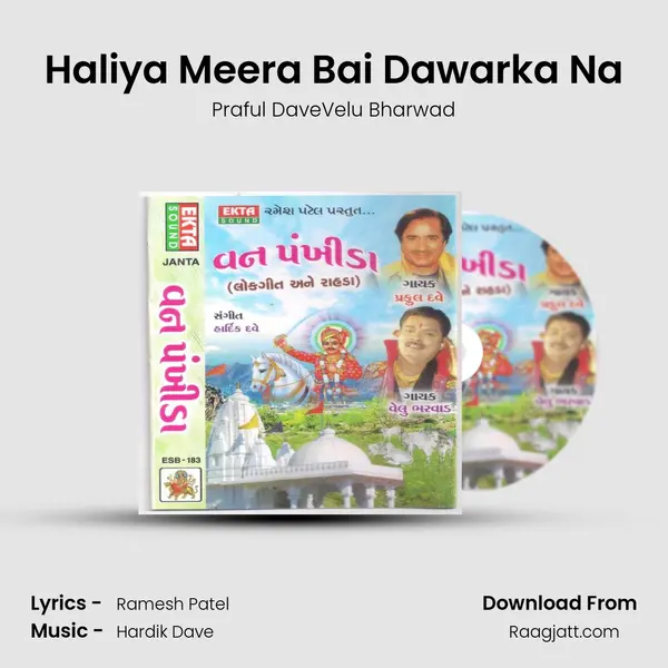 Haliya Meera Bai Dawarka Na - Praful DaveVelu Bharwad album cover 