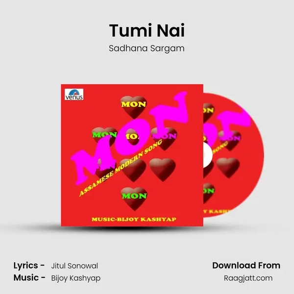 Tumi Nai - Sadhana Sargam mp3 song