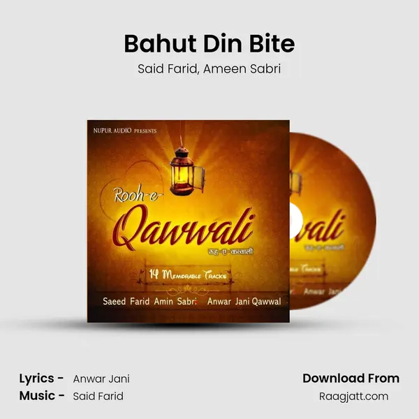 Bahut Din Bite - Said Farid album cover 