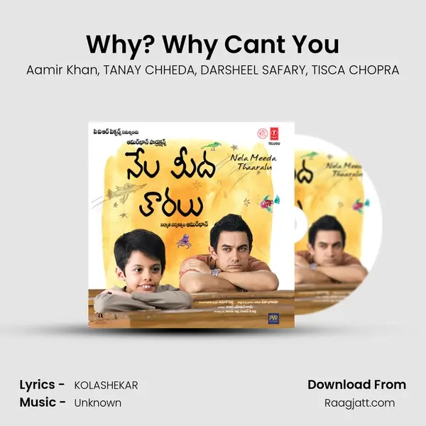 Why? Why Can't You - Aamir Khan album cover 