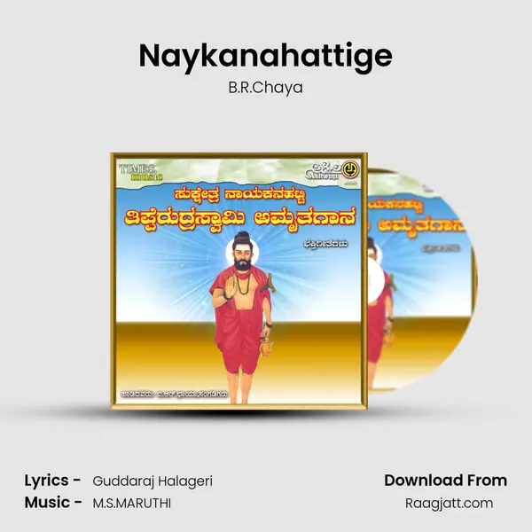 Naykanahattige - B.R.Chaya album cover 