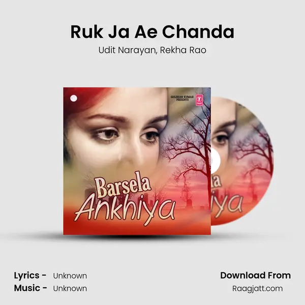 Ruk Ja Ae Chanda - Udit Narayan album cover 