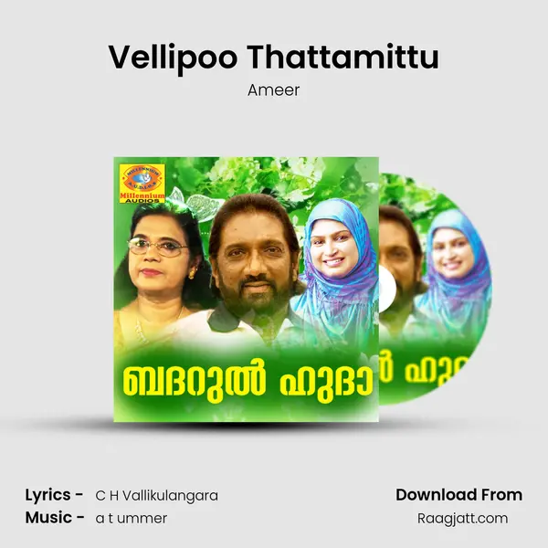 Vellipoo Thattamittu - Ameer mp3 song