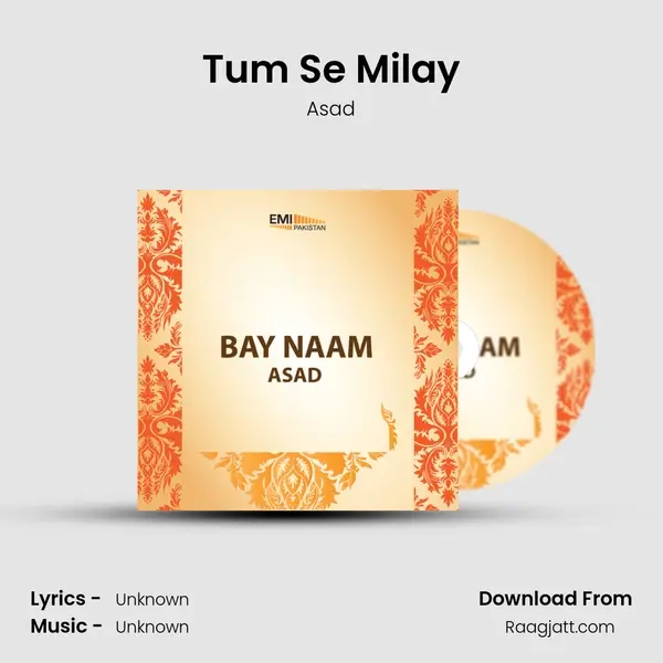 Tum Se Milay mp3 song