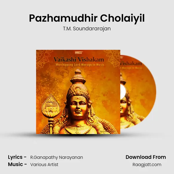 Pazhamudhir Cholaiyil mp3 song