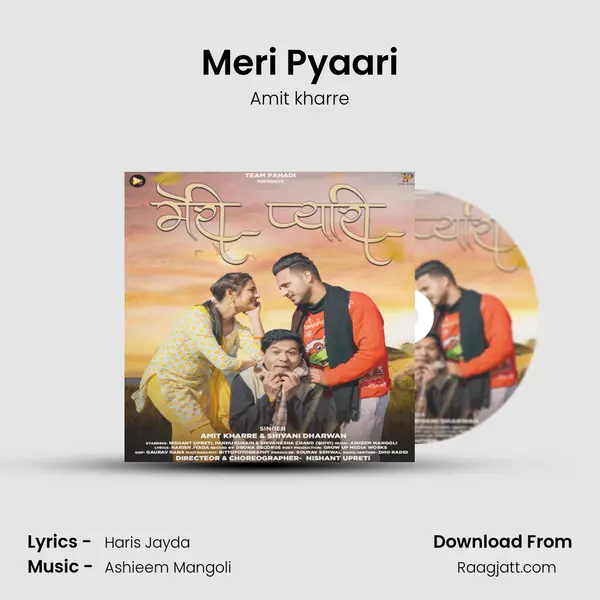 Meri Pyaari - Amit kharre album cover 