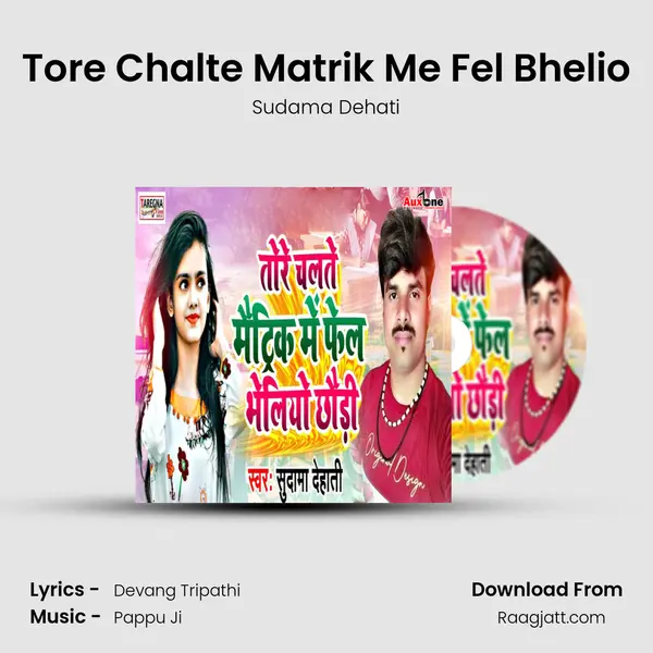 Tore Chalte Matrik Me Fel Bhelio - Sudama Dehati album cover 