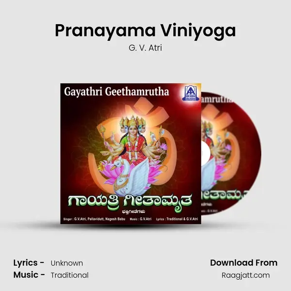 Pranayama Viniyoga - G. V. Atri album cover 