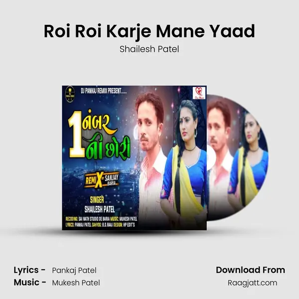 Roi Roi Karje Mane Yaad - Shailesh Patel album cover 