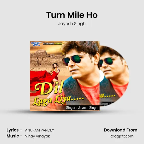 Tum Mile Ho - Jayesh Singh album cover 