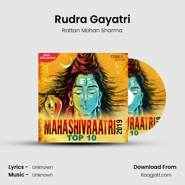 Rudra Gayatri - Rattan Mohan Sharma album cover 