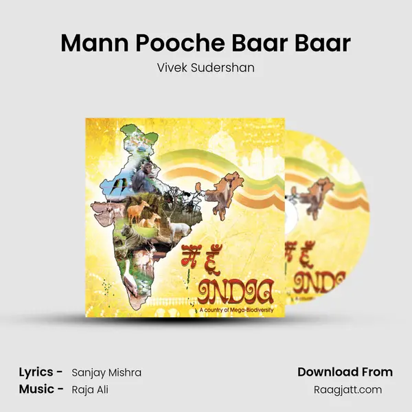 Mann Pooche Baar Baar - Vivek Sudershan album cover 