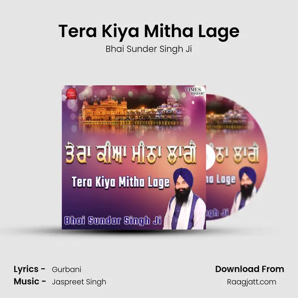 Tera Kiya Mitha Lage mp3 song