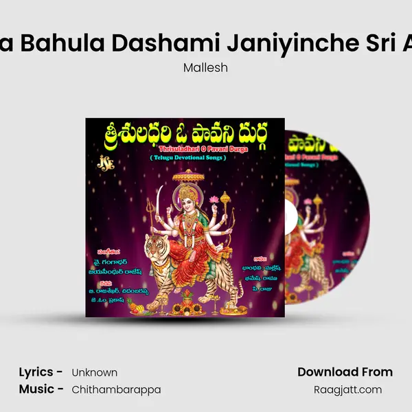 Vyshyaka Bahula Dashami Janiyinche Sri Anjaneya - Mallesh album cover 