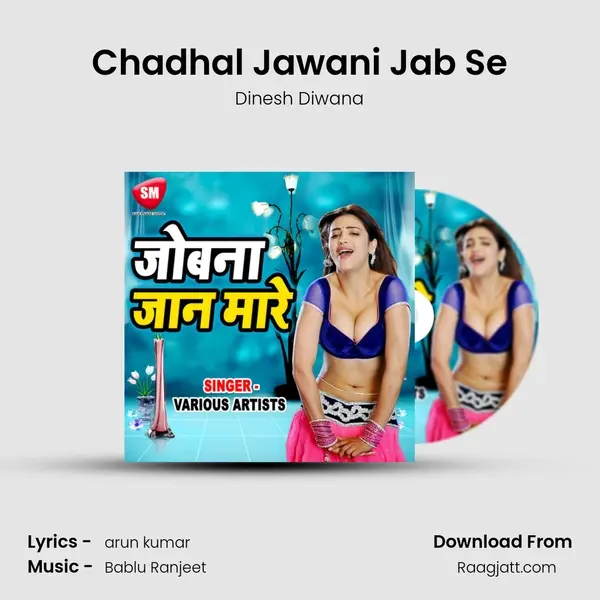 Chadhal Jawani Jab Se - Dinesh Diwana album cover 