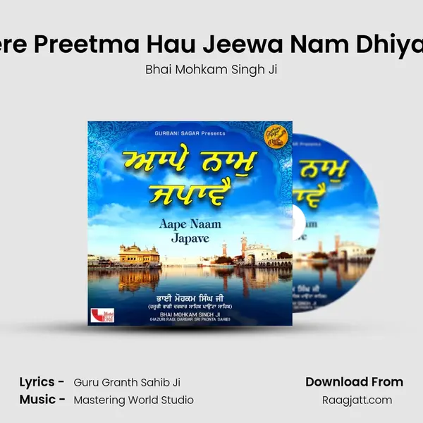 Mere Preetma Hau Jeewa Nam Dhiyaye - Bhai Mohkam Singh Ji album cover 