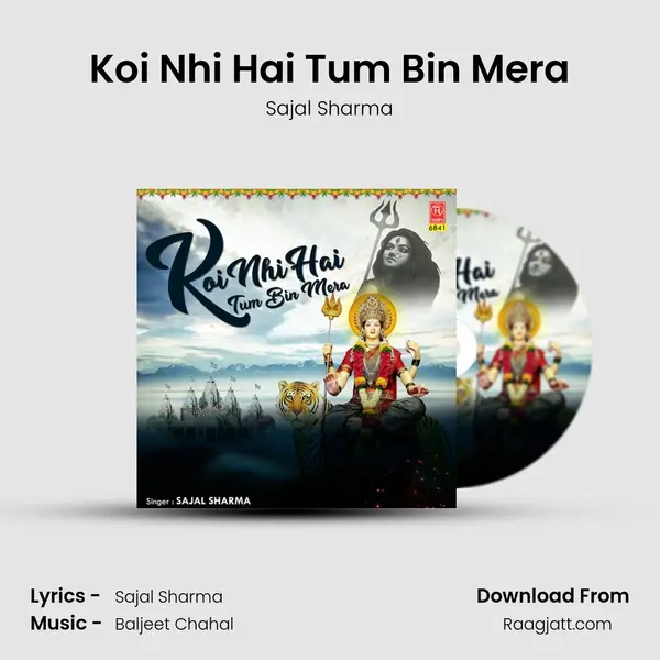 Koi Nhi Hai Tum Bin Mera mp3 song