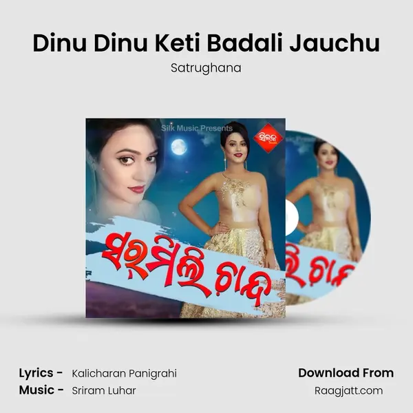 Dinu Dinu Keti Badali Jauchu - Satrughana album cover 