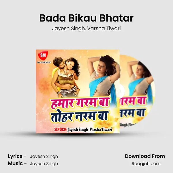 Bada Bikau Bhatar - Jayesh Singh album cover 