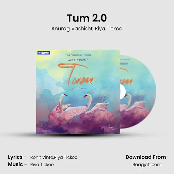 Tum 2.0 - Anurag Vashisht album cover 