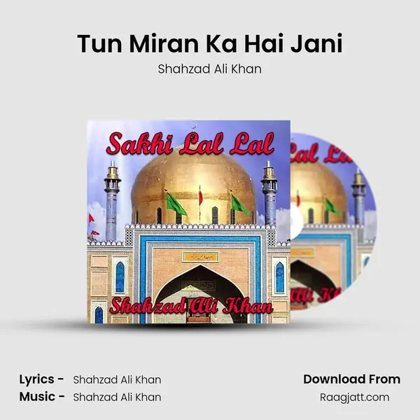 Tun Miran Ka Hai Jani - Shahzad Ali Khan album cover 