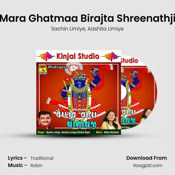 Mara Ghatmaa Birajta Shreenathji - Sachin Limiye album cover 