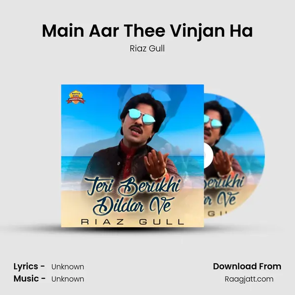 Main Aar Thee Vinjan Ha mp3 song