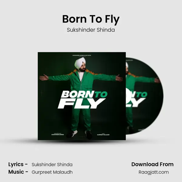 Born To Fly - Sukshinder Shinda album cover 