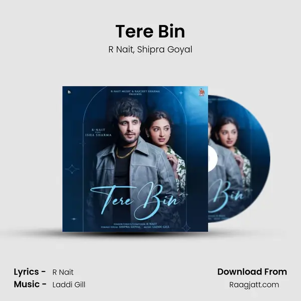 Tere Bin - R Nait album cover 