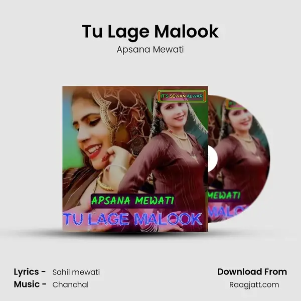 Tu Lage Malook mp3 song