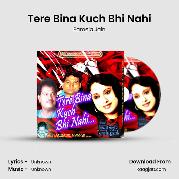 Tere Bina Kuch Bhi Nahi - Pamela Jain album cover 