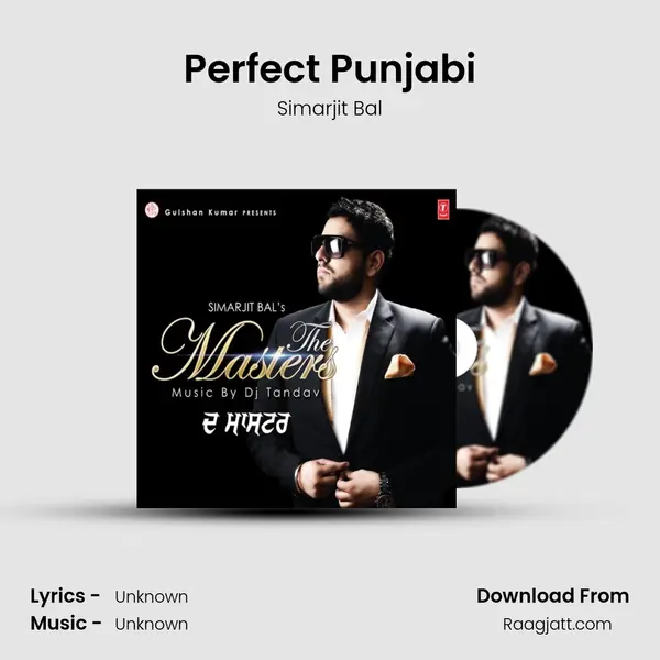 Perfect Punjabi mp3 song