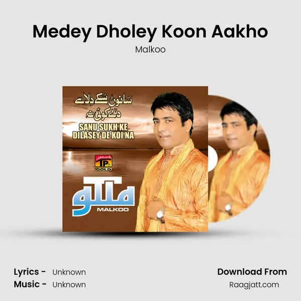 Medey Dholey Koon Aakho - Malkoo album cover 