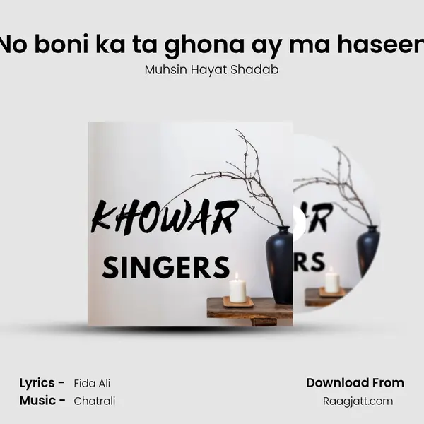 No boni ka ta ghona ay ma haseen - Muhsin Hayat Shadab album cover 