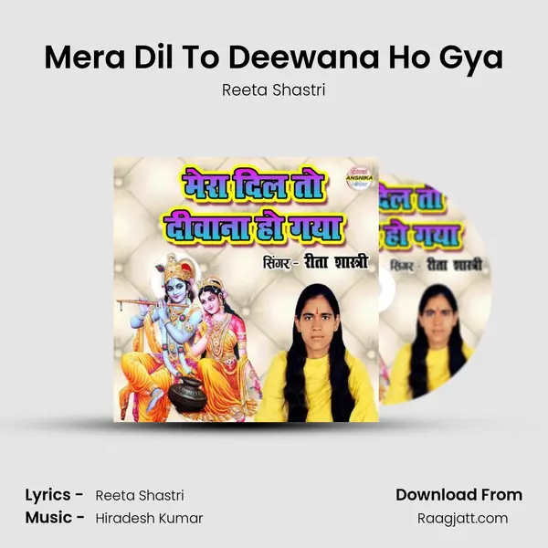 Mera Dil To Deewana Ho Gya mp3 song